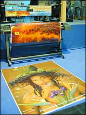 Wide format inkjet printer